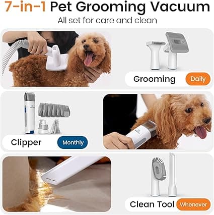 The oneisall 7-in-1 Grooming Station: Everything you need for a professional-grade pet spa day.